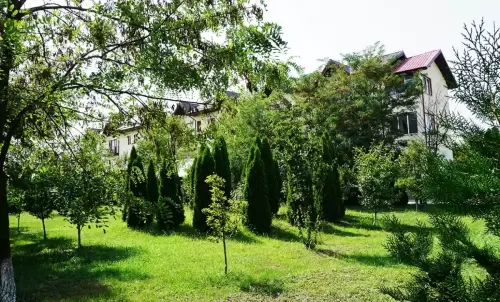 Camin-Pentru-Batrani-Bucuresti-Sector-6-1