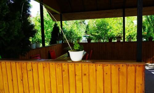 Camin-Pentru-Batrani-Bucuresti-Sector-6-11