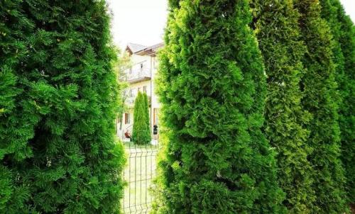 Camin-Pentru-Batrani-Bucuresti-Sector-6-16