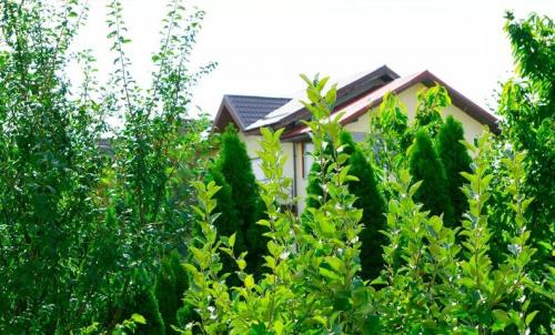 Camin-Pentru-Batrani-Bucuresti-Sector-6-27