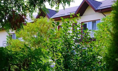 Camin-Pentru-Batrani-Bucuresti-Sector-6-29