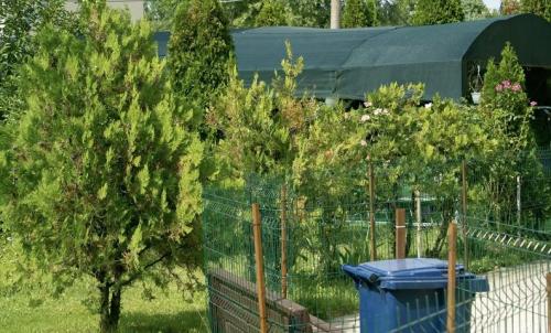 Camin-Pentru-Batrani-Bucuresti-Sector-6-30