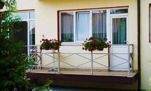 Camin-Pentru-Batrani-Bucuresti-Sector-6-9